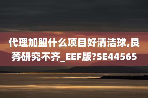 代理加盟什么项目好清洁球,良莠研究不齐_EEF版?SE44565