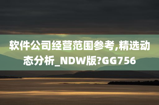 软件公司经营范围参考,精选动态分析_NDW版?GG756