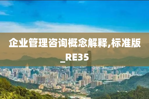 企业管理咨询概念解释,标准版_RE35