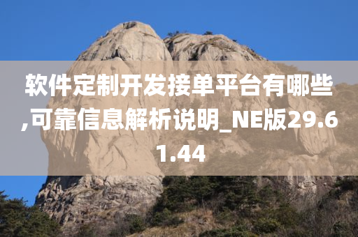 软件定制开发接单平台有哪些,可靠信息解析说明_NE版29.61.44