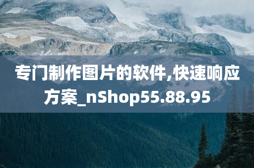 专门制作图片的软件,快速响应方案_nShop55.88.95