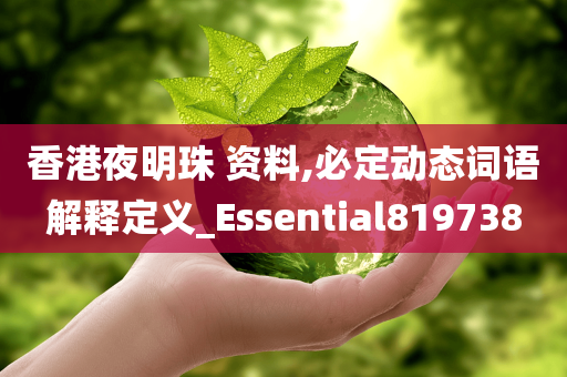 香港夜明珠 资料,必定动态词语解释定义_Essential819738