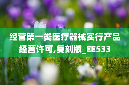 经营第一类医疗器械实行产品经营许可,复刻版_EE533