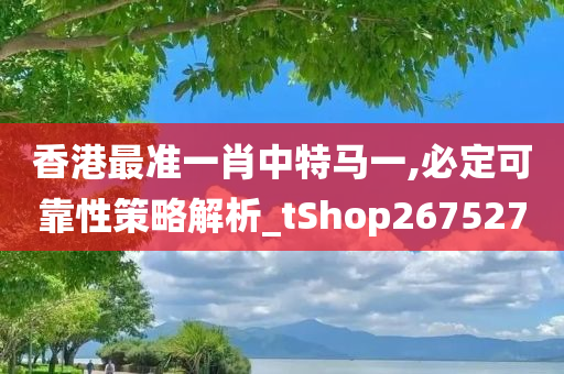 香港最准一肖中特马一,必定可靠性策略解析_tShop267527