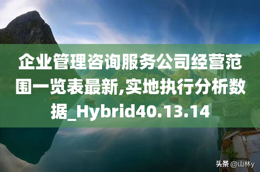 企业管理咨询服务公司经营范围一览表最新,实地执行分析数据_Hybrid40.13.14