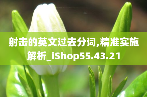 射击的英文过去分词,精准实施解析_iShop55.43.21