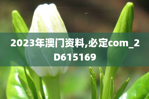 2023年澳门资料,必定com_2D615169