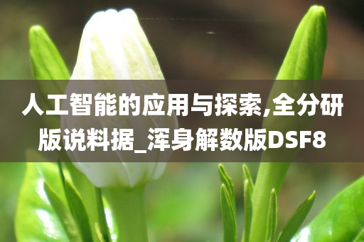 人工智能的应用与探索,全分研版说料据_浑身解数版DSF8