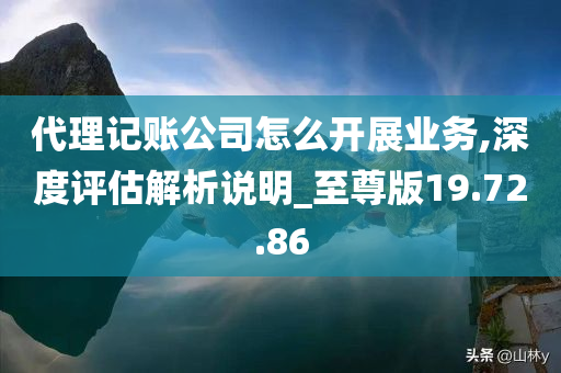 代理记账公司怎么开展业务,深度评估解析说明_至尊版19.72.86