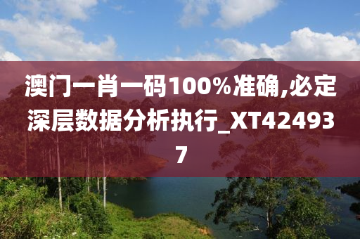 澳门一肖一码100%准确,必定深层数据分析执行_XT424937