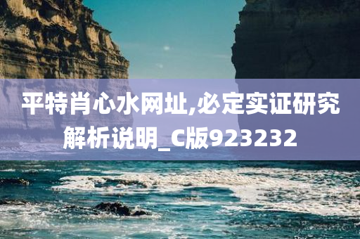 平特肖心水网址,必定实证研究解析说明_C版923232