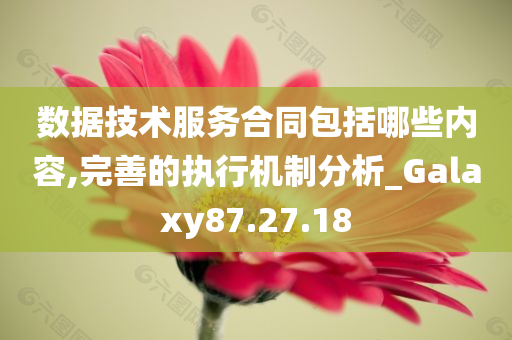 数据技术服务合同包括哪些内容,完善的执行机制分析_Galaxy87.27.18