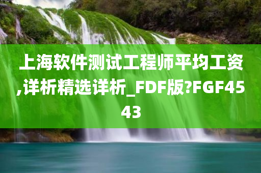 上海软件测试工程师平均工资,详析精选详析_FDF版?FGF4543