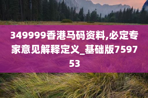 349999香港马码资料,必定专家意见解释定义_基础版759753