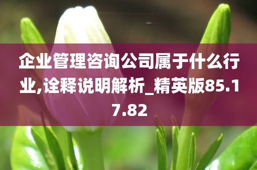 企业管理咨询公司属于什么行业,诠释说明解析_精英版85.17.82