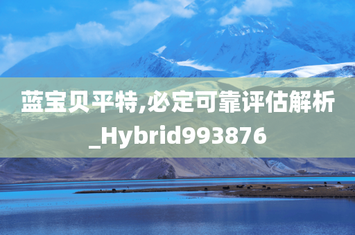 蓝宝贝平特,必定可靠评估解析_Hybrid993876