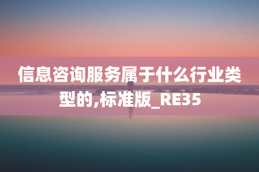 信息咨询服务属于什么行业类型的,标准版_RE35