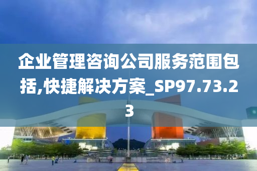 企业管理咨询公司服务范围包括,快捷解决方案_SP97.73.23