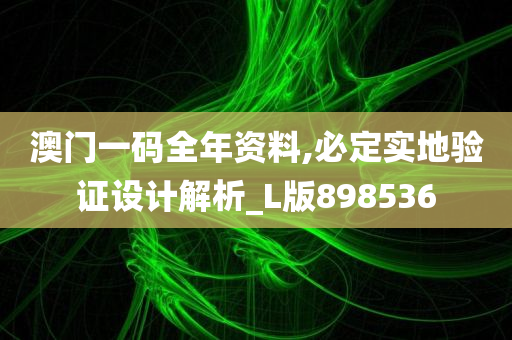 澳门一码全年资料,必定实地验证设计解析_L版898536