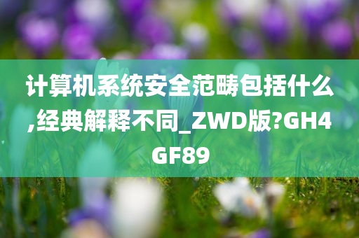 计算机系统安全范畴包括什么,经典解释不同_ZWD版?GH4GF89