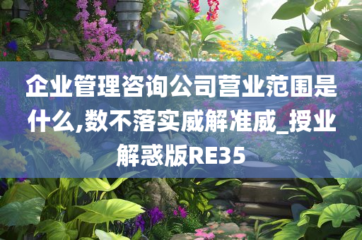 企业管理咨询公司营业范围是什么,数不落实威解准威_授业解惑版RE35