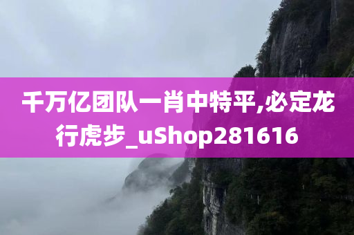 千万亿团队一肖中特平,必定龙行虎步_uShop281616