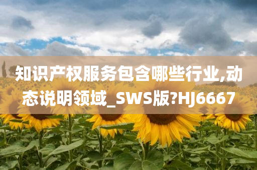 知识产权服务包含哪些行业,动态说明领域_SWS版?HJ6667