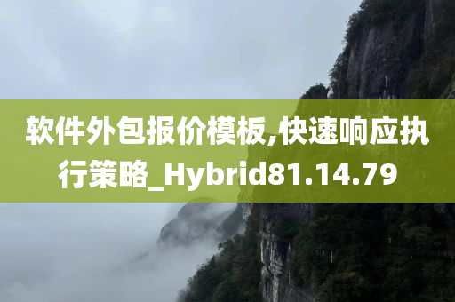 软件外包报价模板,快速响应执行策略_Hybrid81.14.79