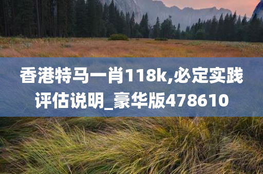 香港特马一肖118k,必定实践评估说明_豪华版478610