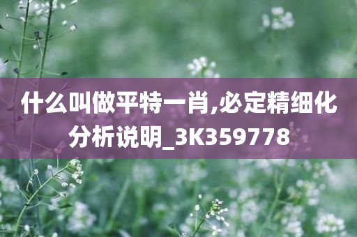 什么叫做平特一肖,必定精细化分析说明_3K359778