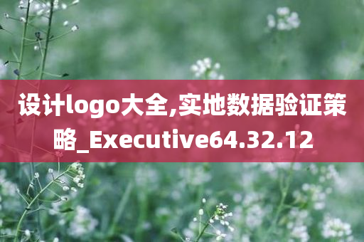 设计logo大全,实地数据验证策略_Executive64.32.12