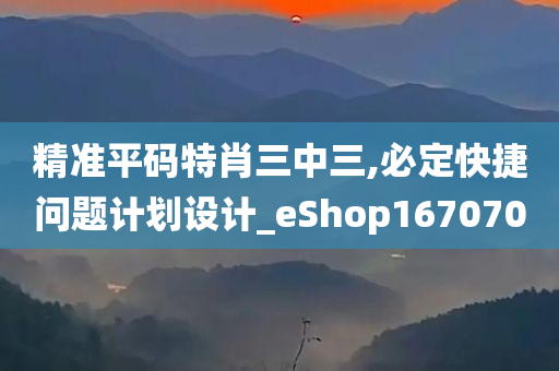 精准平码特肖三中三,必定快捷问题计划设计_eShop167070