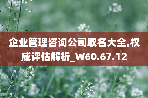 企业管理咨询公司取名大全,权威评估解析_W60.67.12