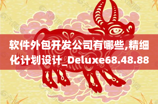 软件外包开发公司有哪些,精细化计划设计_Deluxe68.48.88