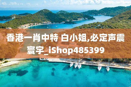 香港一肖中特 白小姐,必定声震寰宇_iShop485399