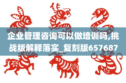 企业管理咨询可以做培训吗,挑战版解释落实_复刻版657687