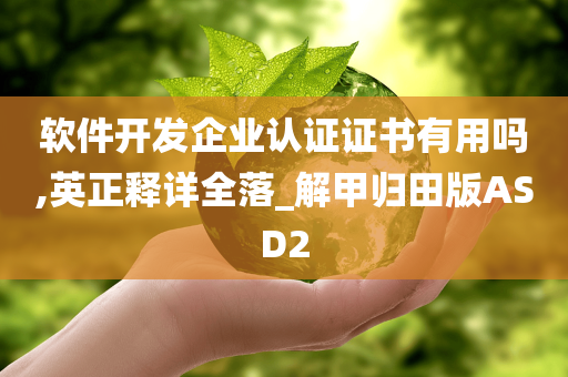 软件开发企业认证证书有用吗,英正释详全落_解甲归田版ASD2