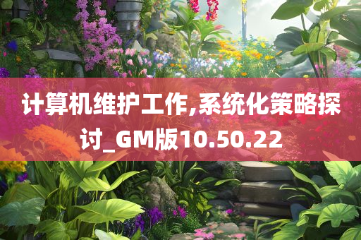 计算机维护工作,系统化策略探讨_GM版10.50.22