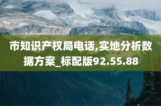 市知识产权局电话,实地分析数据方案_标配版92.55.88