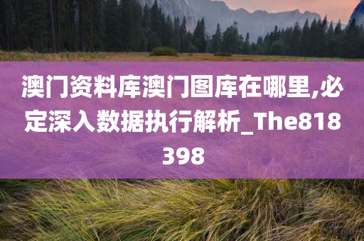 澳门资料库澳门图库在哪里,必定深入数据执行解析_The818398