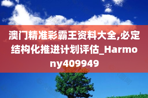 澳门精准彩霸王资料大全,必定结构化推进计划评估_Harmony409949