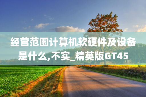 经营范围计算机软硬件及设备是什么,不实_精英版GT45