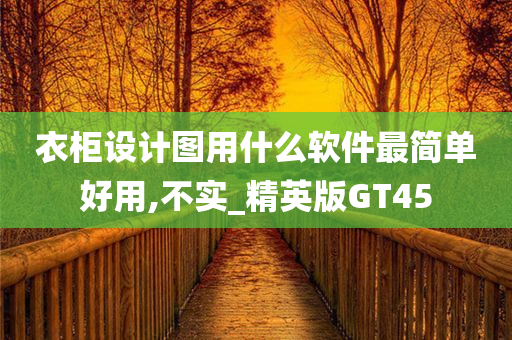 衣柜设计图用什么软件最简单好用,不实_精英版GT45