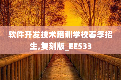 软件开发技术培训学校春季招生,复刻版_EE533