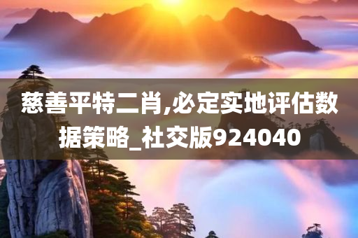 慈善平特二肖,必定实地评估数据策略_社交版924040