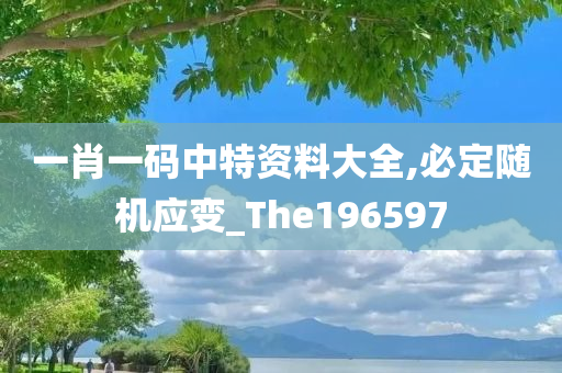 一肖一码中特资料大全,必定随机应变_The196597