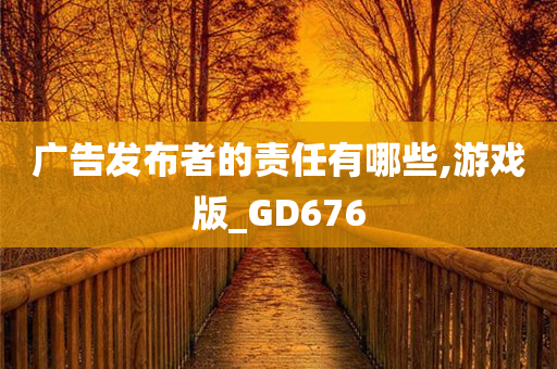 广告发布者的责任有哪些,游戏版_GD676