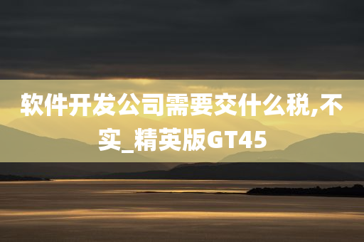 软件开发公司需要交什么税,不实_精英版GT45