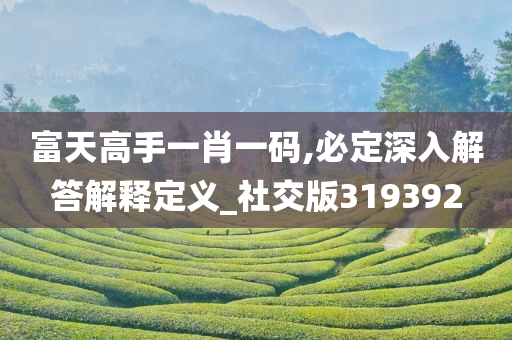 富天高手一肖一码,必定深入解答解释定义_社交版319392