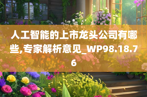 人工智能的上市龙头公司有哪些,专家解析意见_WP98.18.76